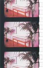 Un Jardin D'hiver (1974) afişi Un Jardin D'hiver (1974) afişi