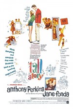 Uzun Hikaye (1960) afişi
