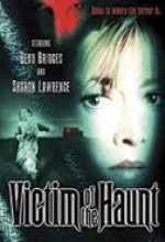 Victim Of The Haunt (1996) afişi