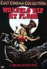Weasel Rip My Flesh (1979) afişi