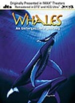 Whales: An Unforgettable Journey (1997) afişi