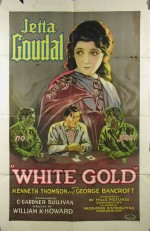 White Gold (1927) afişi