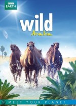 Wild Arabia (2013) afişi Wild Arabia (2013) afişi
