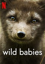 Wild Babies (2022) afişi