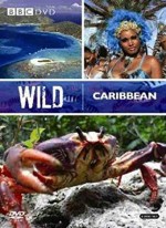 Wild Caribbean (2007) afişi