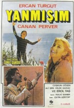 Yanmışım (1979) afişi