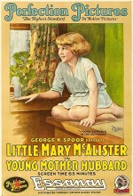 Young Mother Hubbard (1917) afişi
