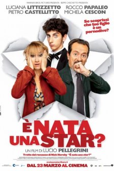 È nata una star? (2012) afişi