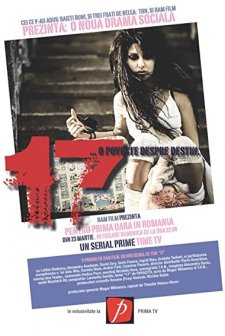 17 - O Poveste Despre Destin (2008) afişi