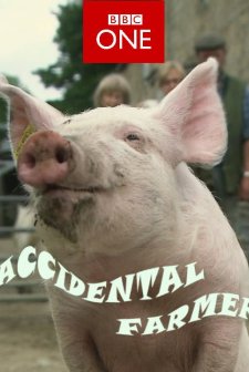 Accidental Farmer (2010) afişi