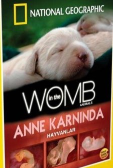 Anne Karnında Hayvanlar afişi