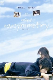 Asimetri (2008) afişi