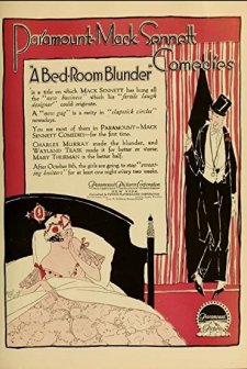A Bedroom Blunder (1917) afişi