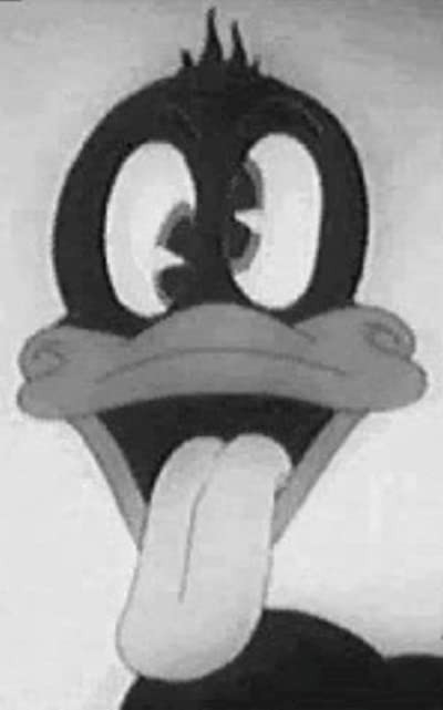 A Coy Decoy (1941) afişi A Coy Decoy (1941) afişi