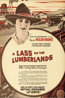 A Lass Of The Lumberlands (1916) afişi