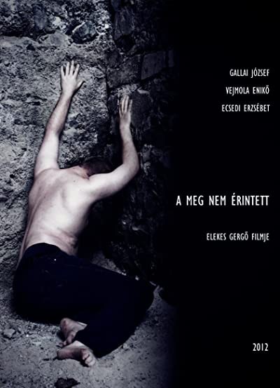 A meg nem érintett (2012) afişi A meg nem érintett (2012) afişi