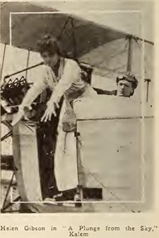 A Plunge From The Sky (1916) afişi