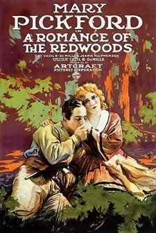 A Romance of the Redwoods (1917) afişi