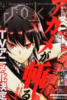 Akame ga Kill! (2014) afişi