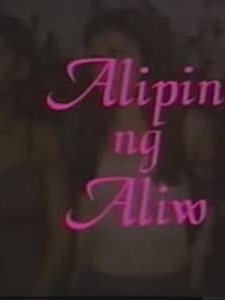 Alipin Ng Aliw (1998) afişi