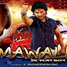 Allari Bullodu (2005) afişi