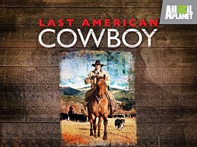 American Cowboy (2010) afişi American Cowboy (2010) afişi