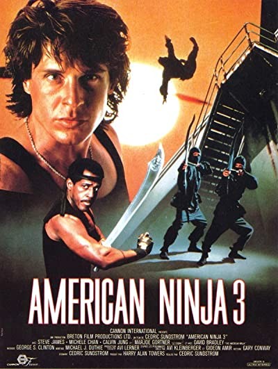 Amerikan Ninja 3