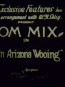 An Arizona Wooing (1915) afişi