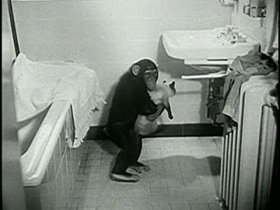 Animals In Action (1955) afişi Animals In Action (1955) afişi