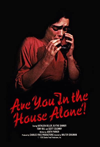 Are You In The House Alone? (1978) afişi Are You In The House Alone? (1978) afişi