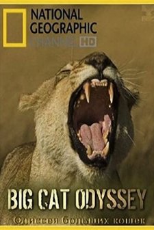 Aslanların Destanı (2010) afişi