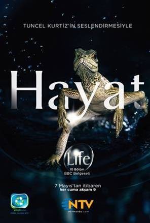 Bbc Hayat - Kuşlar (2009) afişi