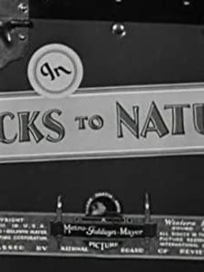 Backs To Nature (1933) afişi
