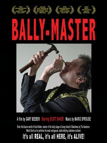 Bally Master (2008) afişi Bally Master (2008) afişi