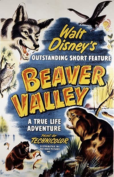 Beaver Valley (1950) afişi Beaver Valley (1950) afişi