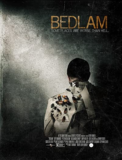 Bedlam (2015) afişi Bedlam (2015) afişi