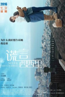 Never Said Goodbye (2016) afişi