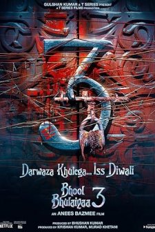 Bhool Bhulaiyaa 3 (2024) afişi