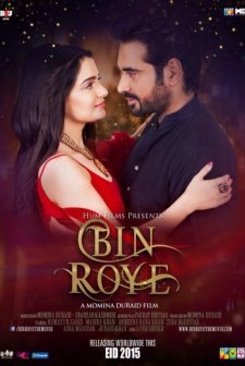 Bin Roye