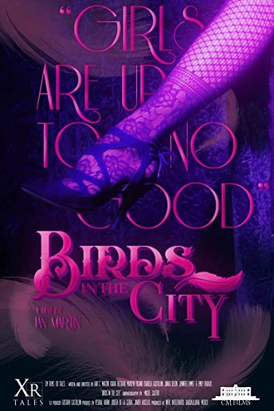 Birds in the City (2018) afişi Birds in the City (2018) afişi