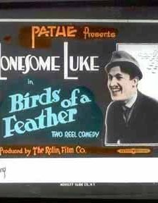 Birds of a Feather (1917) afişi