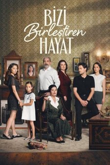 Bizi Birleştiren Hayat (2024) afişi