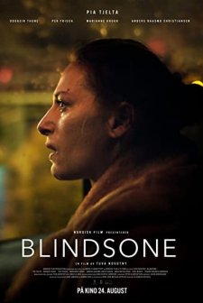 Blind Spot (2018) afişi