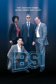 B.s.ı (2008) afişi