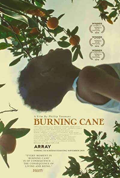 Burning Cane (2019) afişi Burning Cane (2019) afişi