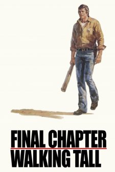 Büyük Yemin (1977) afişi