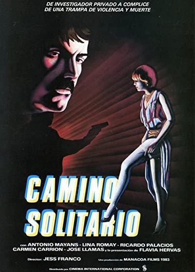Camino Solitario (1984) afişi Camino Solitario (1984) afişi