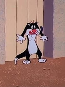 Cats And Bruises (1965) afişi