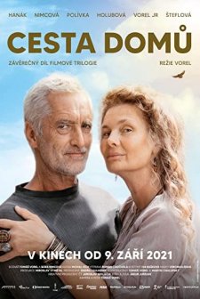 Cesta domu