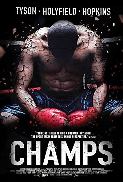 Champs (2014) afişi Champs (2014) afişi